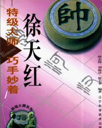特级大师徐天红巧手妙着[PDF]